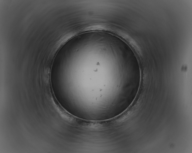 X0000091171233200708231458