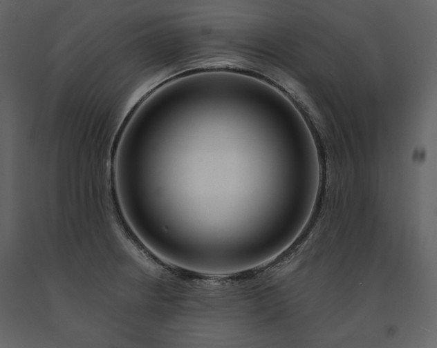 X0000091171234200708231458