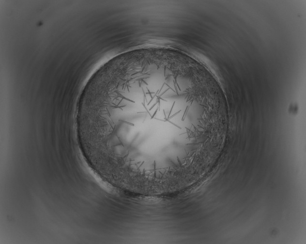 X0000091171235200708231458