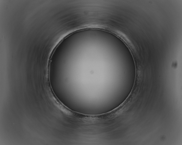 X0000091171236200708231458