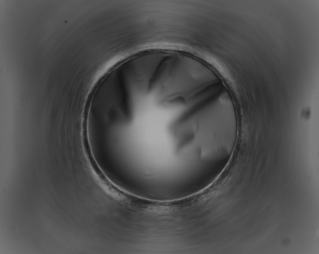 X0000091171237200708231458