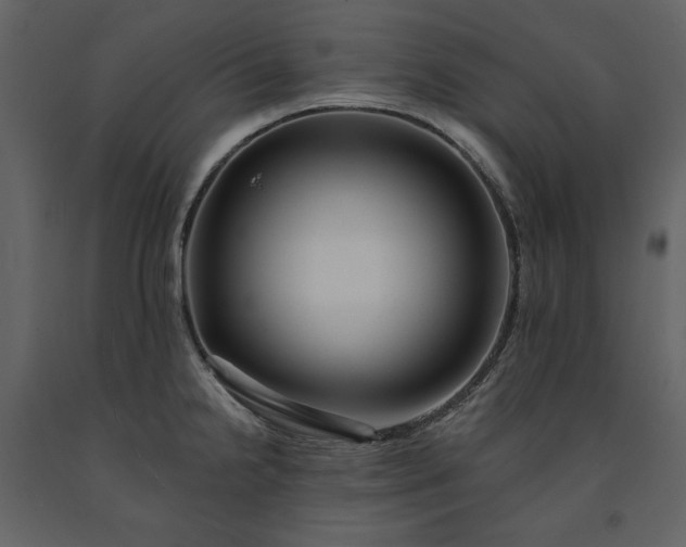 X0000091171238200708231458