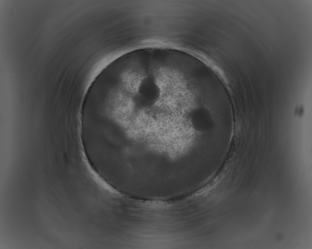 X0000091171239200708231458