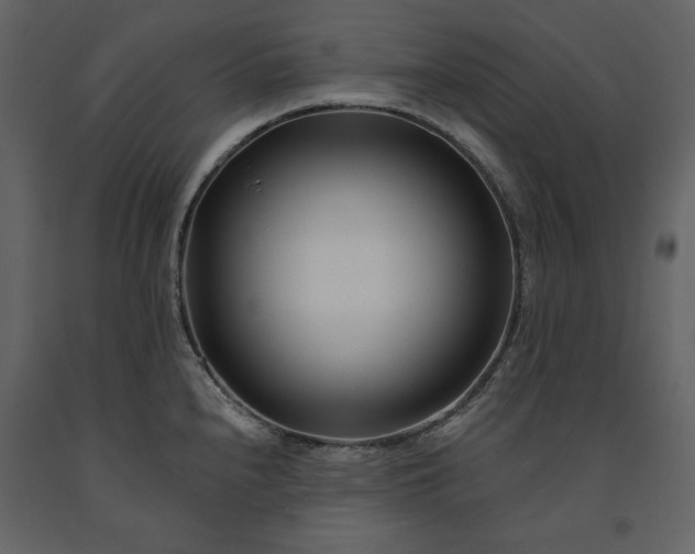 X0000091171240200708231458