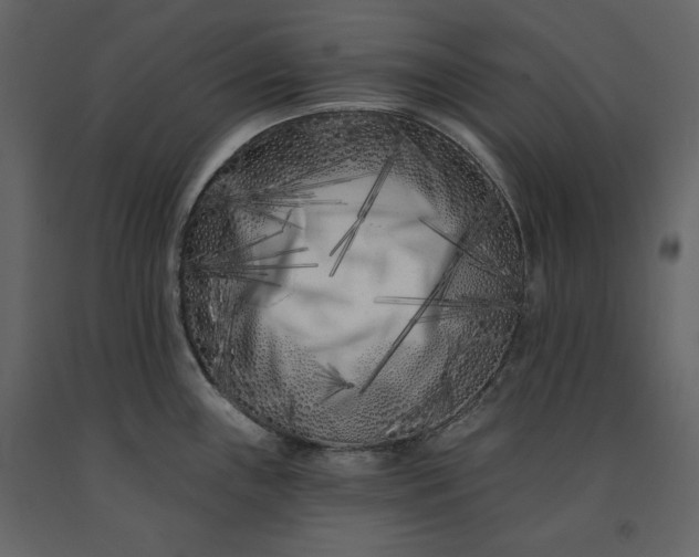 X0000091171243200708231458