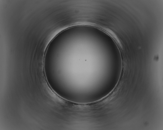 X0000091171244200708231458