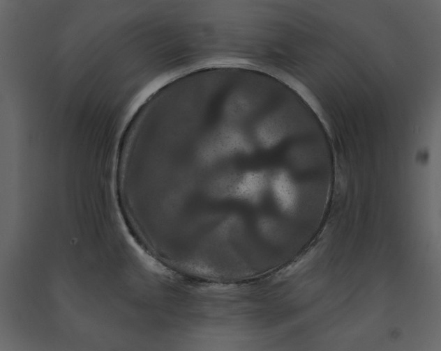 X0000091171245200708231458