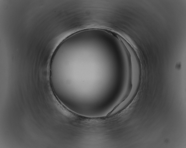 X0000091171246200708231458