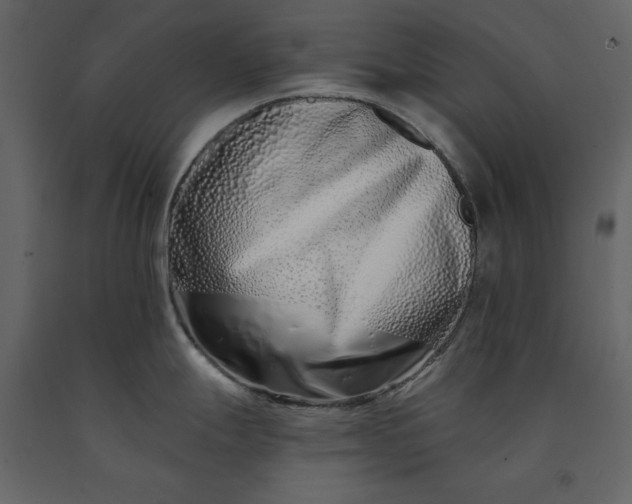 X0000091171247200708231458