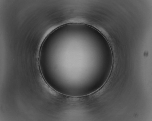 X0000091171248200708231458