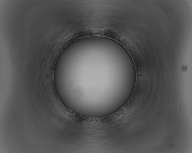 X0000091171249200708231457