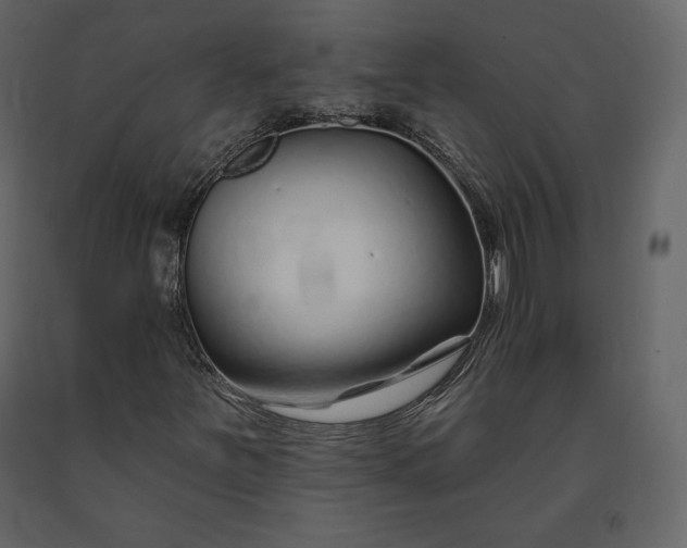 X0000091171251200708231457