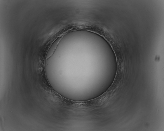 X0000091171253200708231457