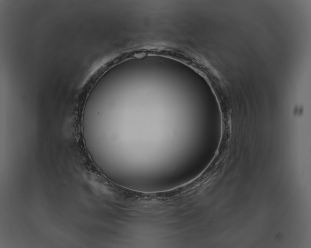 X0000091171256200708231457