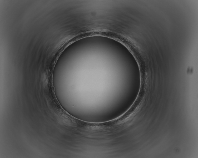 X0000091171257200708231457