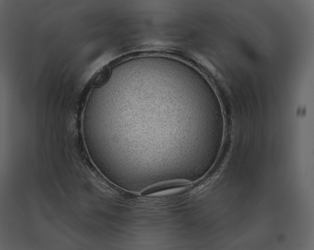 X0000091171259200708231457