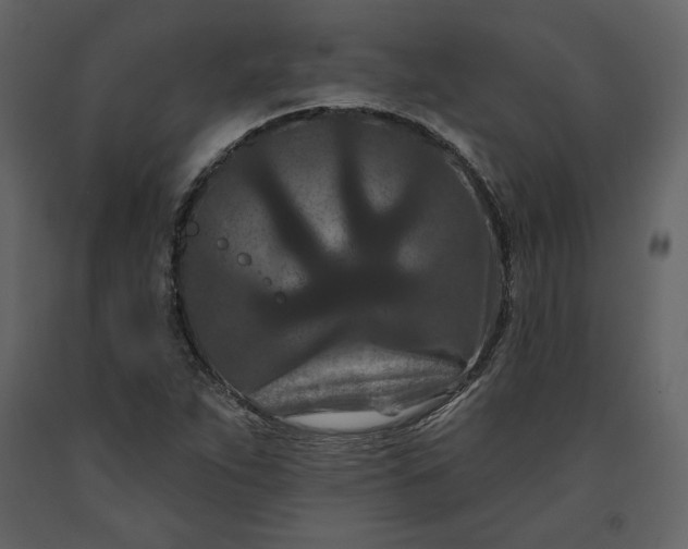 X0000091171263200708231457