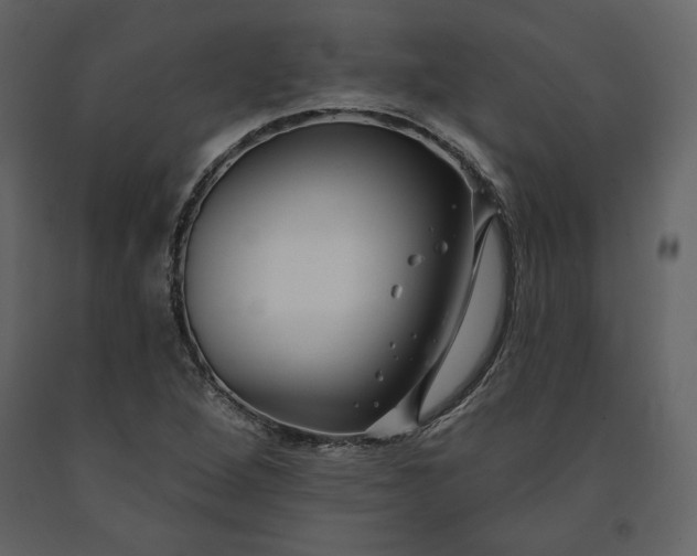 X0000091171264200708231457