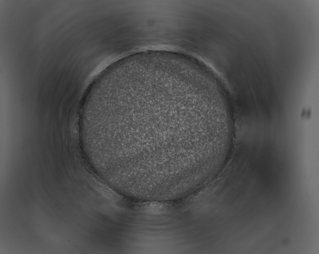 X0000091171266200708231457