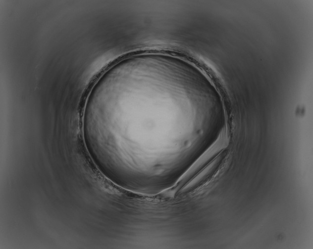 X0000091171267200708231457