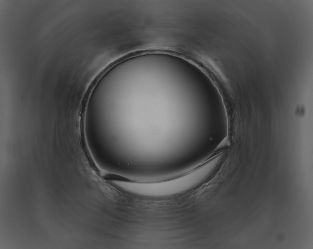 X0000091171268200708231457