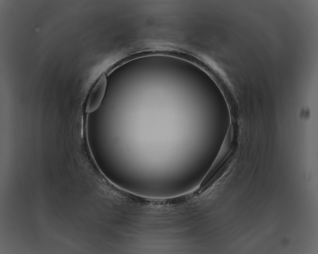 X0000091171269200708231457