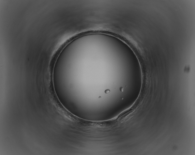 X0000091171270200708231457