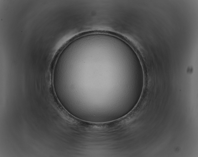 X0000091171271200708231457