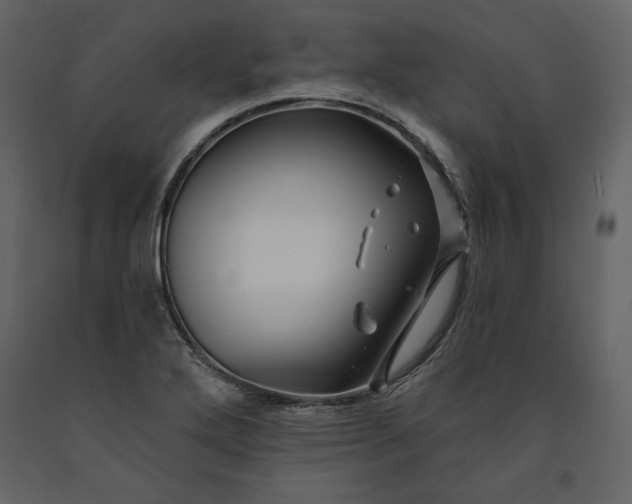 X0000091171272200708231457