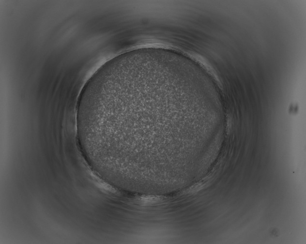 X0000091171274200708231457