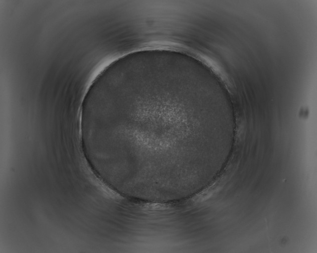 X0000091171275200708231457