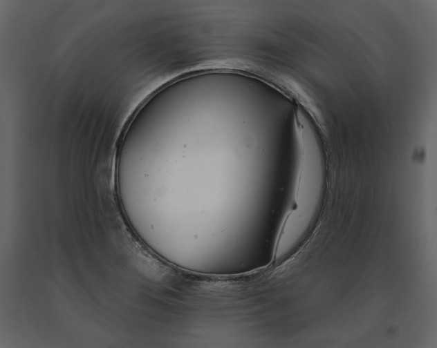 X0000091171276200708231457