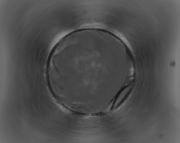 X0000091171277200708231457