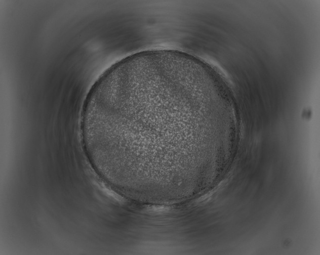 X0000091171278200708231457