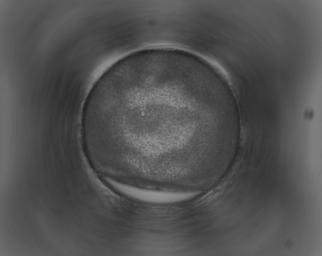 X0000091171279200708231457