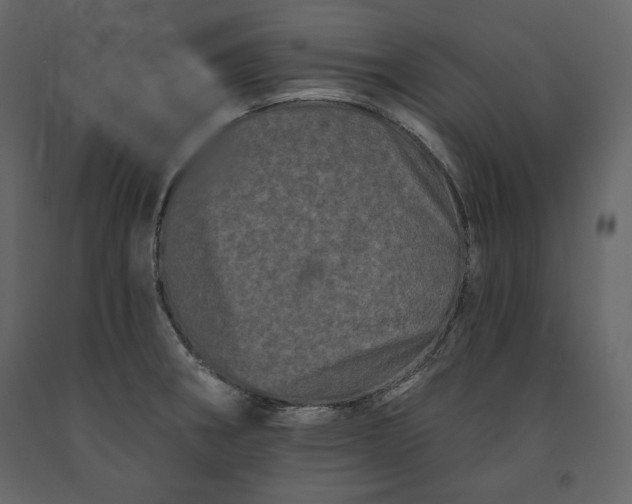 X0000091171282200708231457