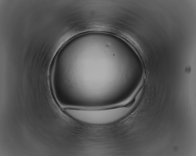 X0000091171283200708231457