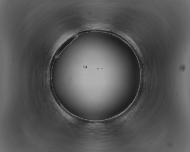 X0000091171285200708231457