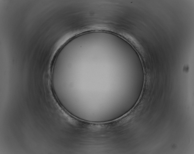 X0000091171286200708231456