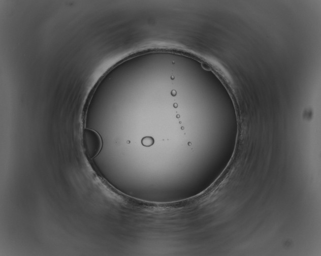 X0000091171287200708231456