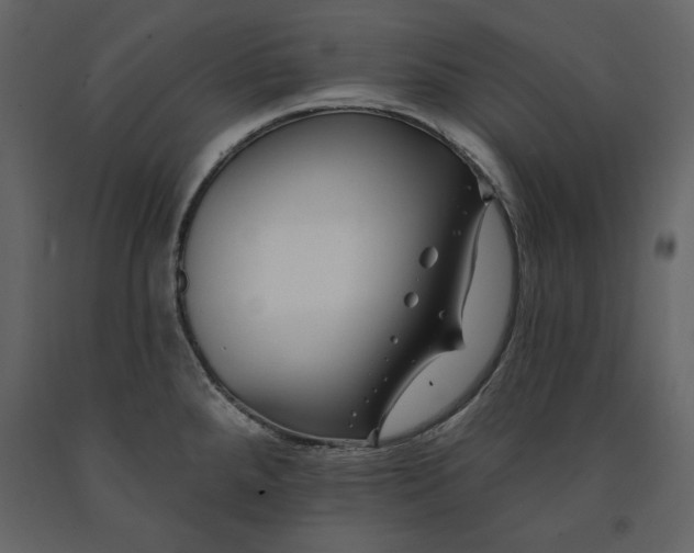 X0000091171288200708231456