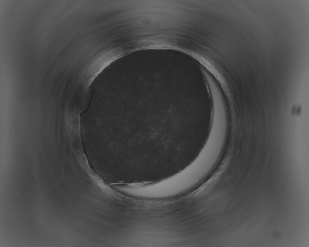 X0000091171289200708231456