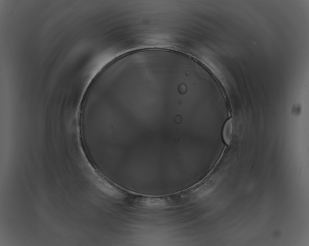 X0000091171291200708231456