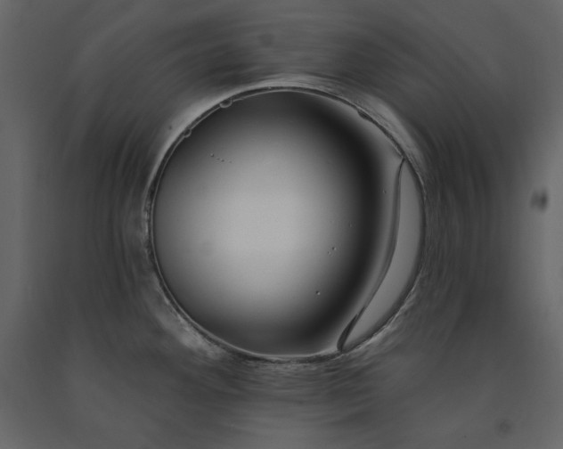 X0000091171292200708231456