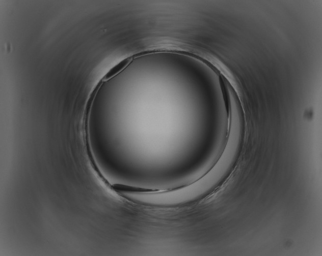 X0000091171293200708231456