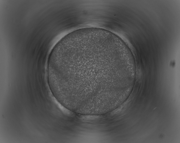 X0000091171294200708231456