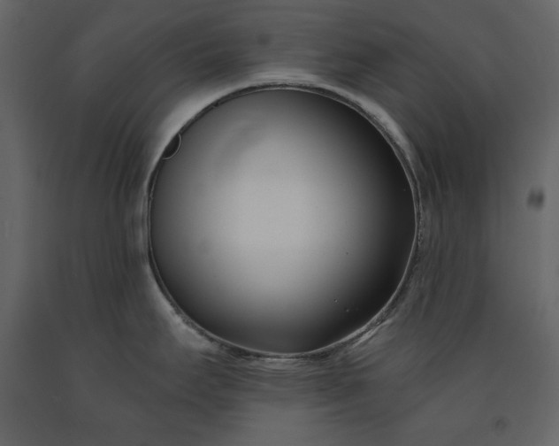 X0000091171295200708231456