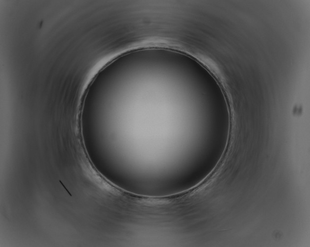 X0000091171296200708231456