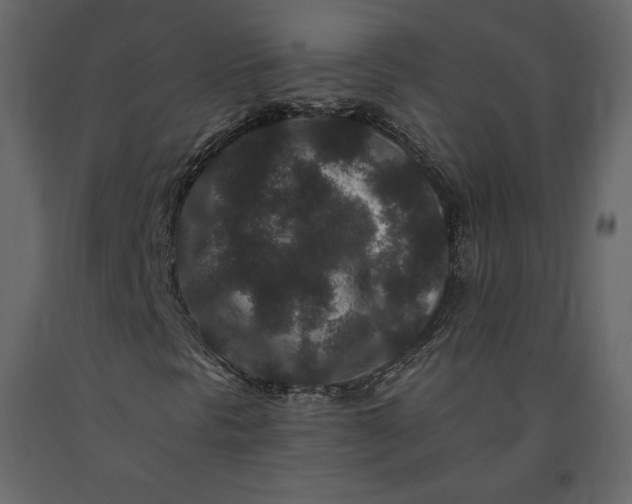 X0000091171297200708231456