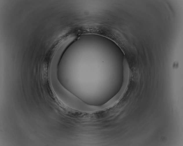 X0000091171298200708231456